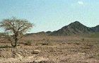 Arava Region, Israel, where the small settlement "Ofarim" exists
