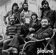 The Platina group